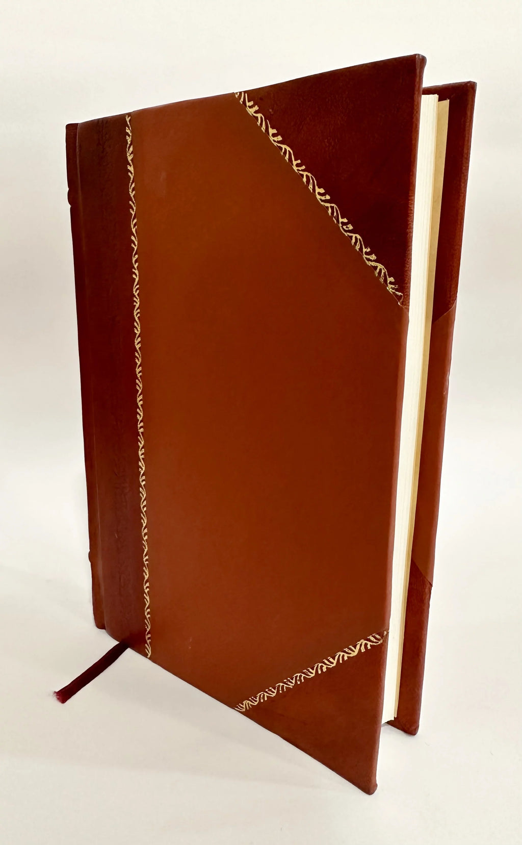 New Noctuidae from British New Guinea / G T Bethune-Baker (1906) (1906) Volume 13 [Leather Bound]