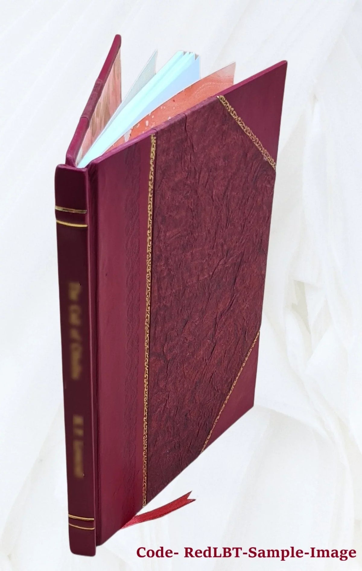 Biga quæstionum theologico-philosophicarum quarum I. Sitne de ratione creaturæ essendi novitas? II. Possitne creatura per omnipotentiam Dei absolutam elevari, ut causa creationis s