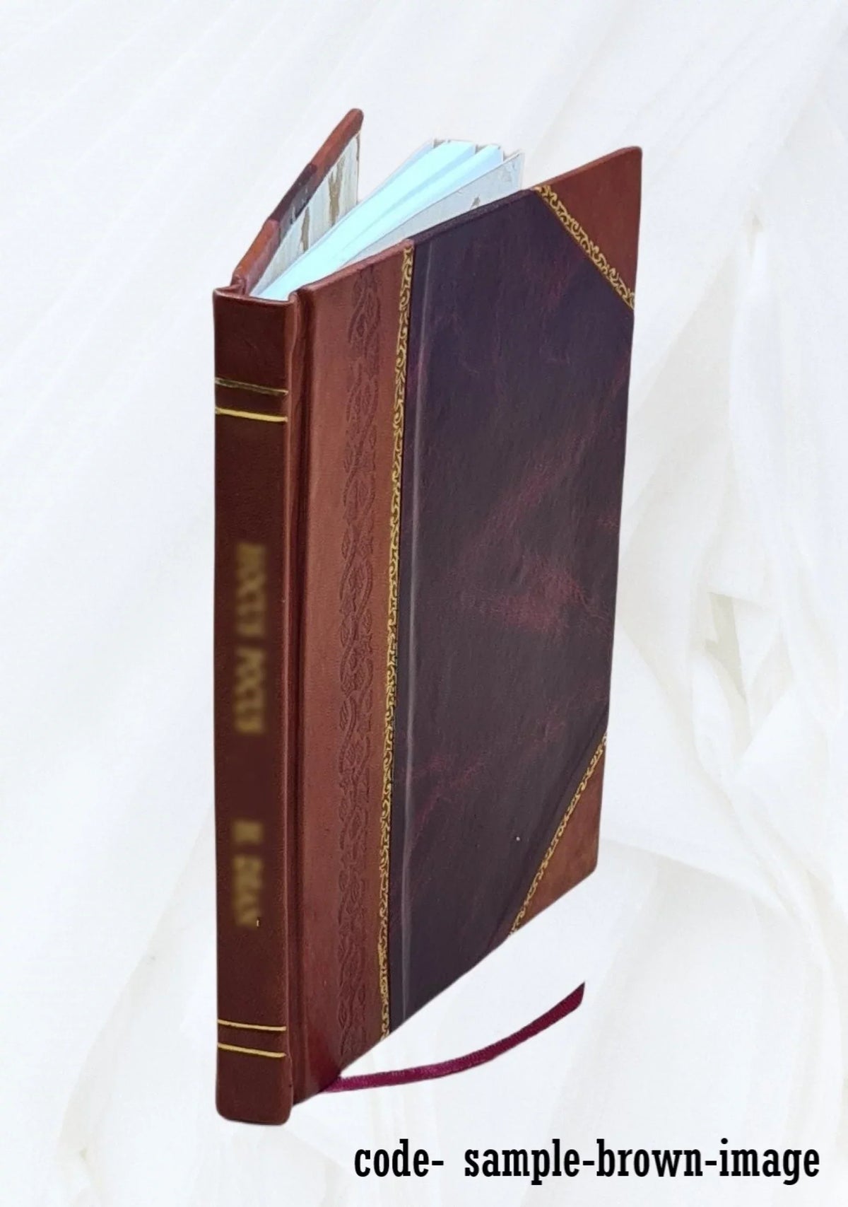 Juan de Aria, novela Alberto Blest Gana. Volume v.19 1904 [Leather Bound]